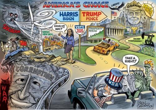 election-2020 choice cartoon-768x543 (1)
