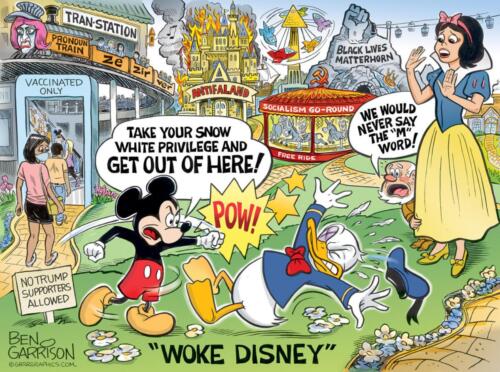 woke disney2021-1536x1143